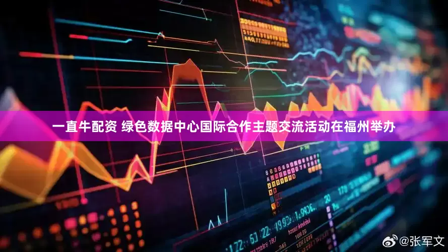 一直牛配资 绿色数据中心国际合作主题交流活动在福州举办